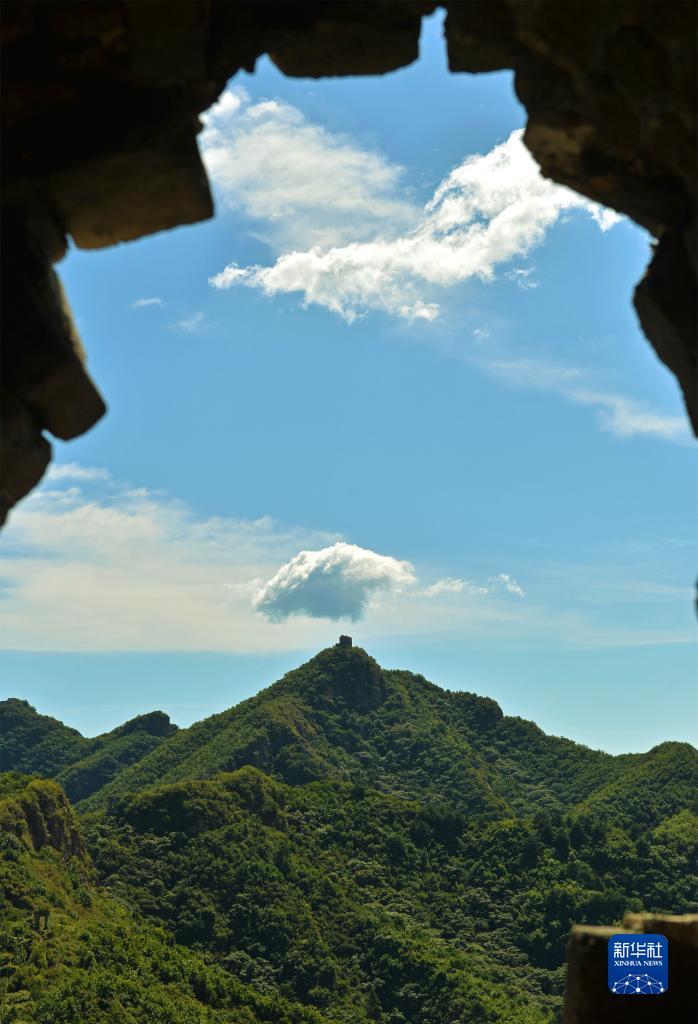 吉祥民粹2019